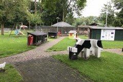 dag-196